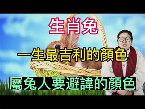 本命色查詢|一生幸運色免費測算